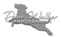 Dan Walker Photography