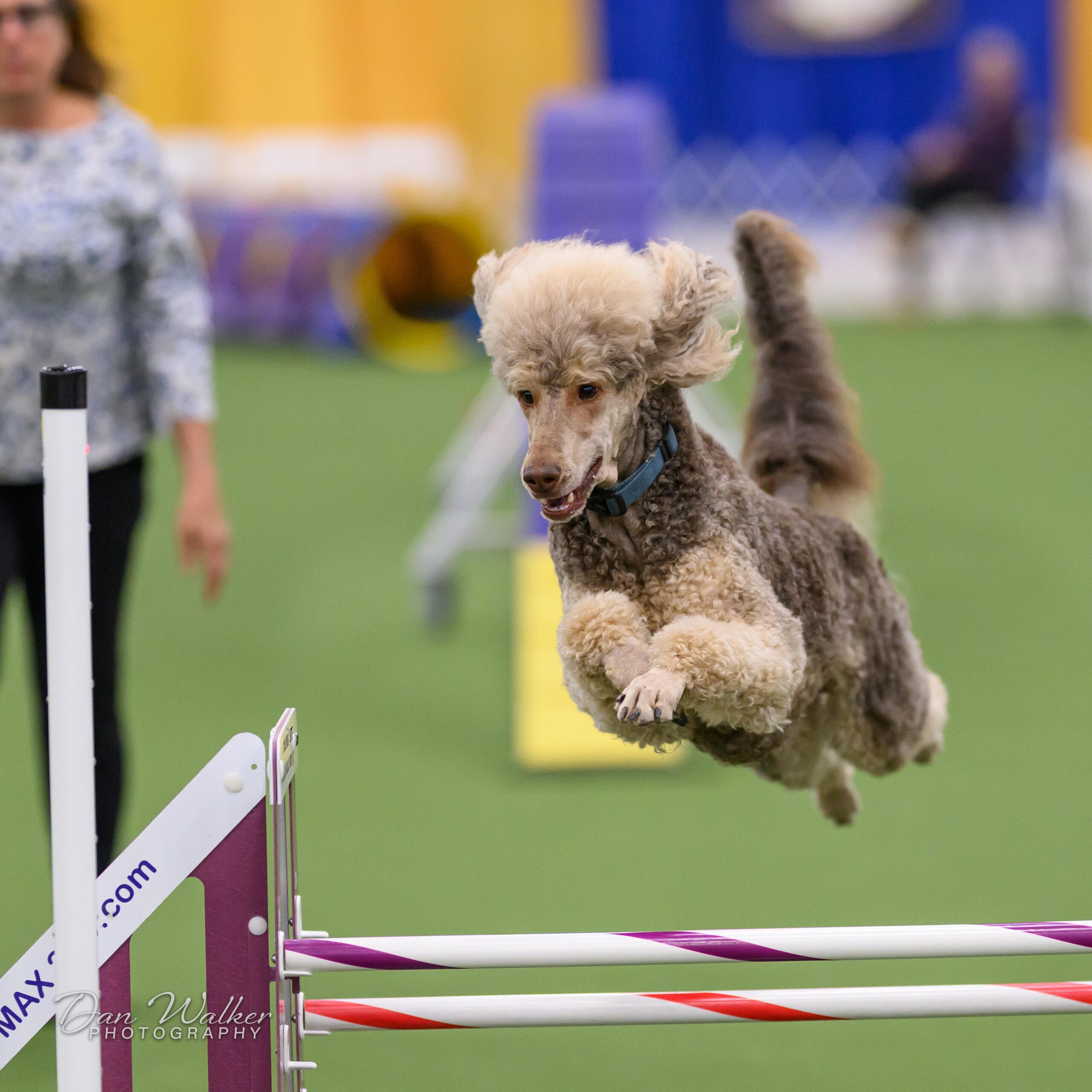 Standard-Main-scaled