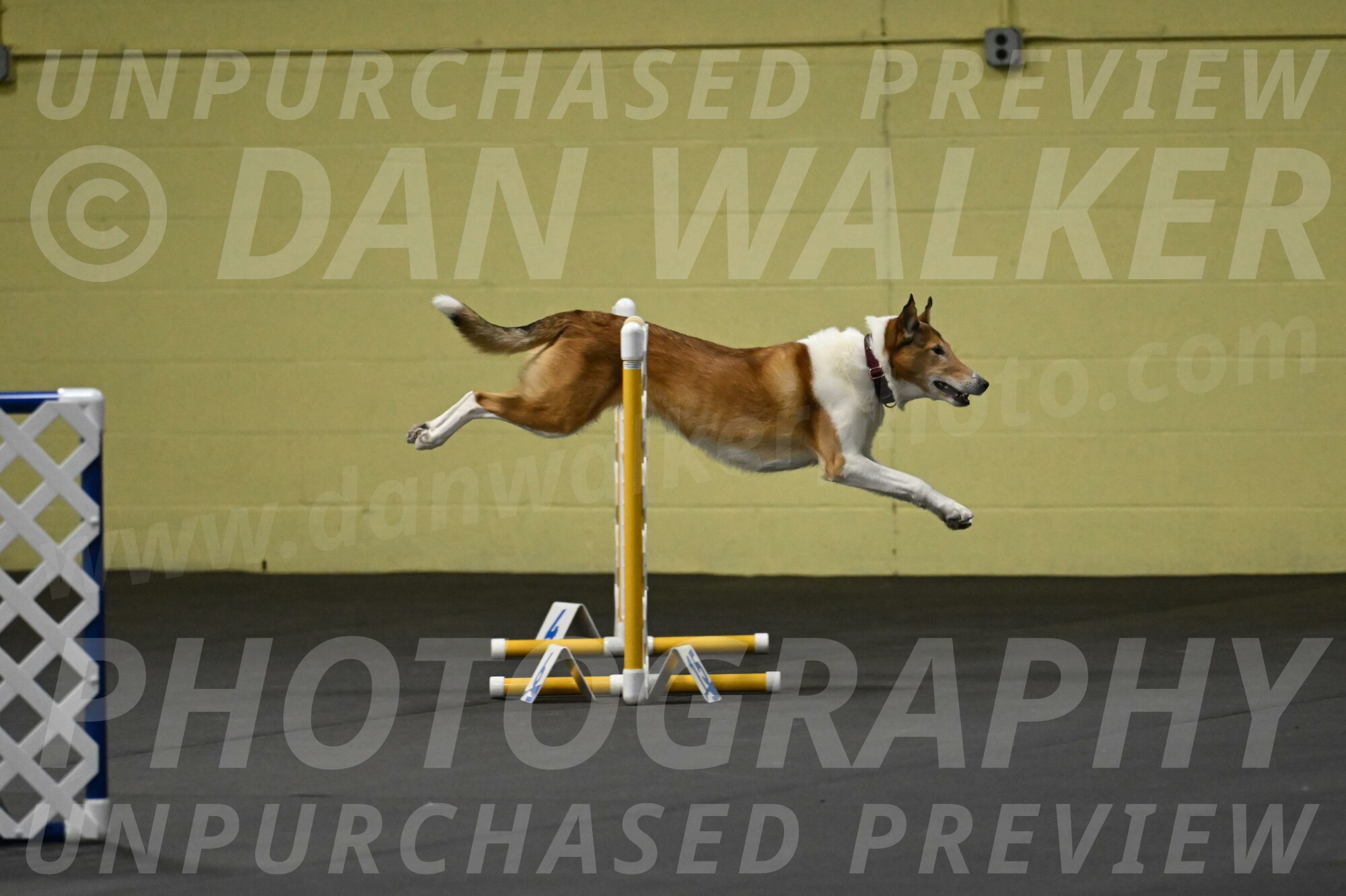 Ramble-Crawford-04123