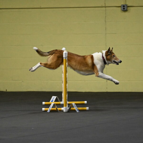 Ramble-Crawford-04123